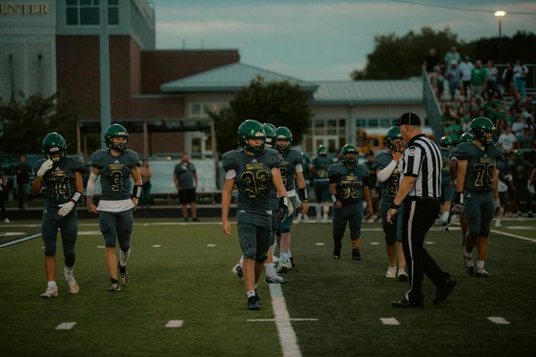 Discover expert garden designers for your dream outdoor space