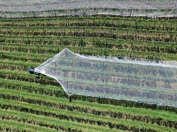 Can sustainable agriculture practices help combat food insecurity in developing nations?